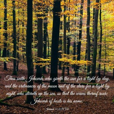Picture 03 - Jeremiah 31:35 ASV - Thus saith Jehovah, who giveth the sun for a - Bible Verse Picture