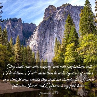 Picture 03 - Jeremiah 31:9 ASV - They shall come with weeping; and with - Bible Verse Picture