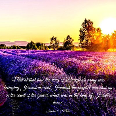 Picture 03 - Jeremiah 32:2 ASV - Now at that time the king of Babylon's army was - Bible Verse Picture