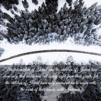 Picture 03 - Jeremiah 32:30 ASV - For the children of Israel and the children of - Bible Verse Picture