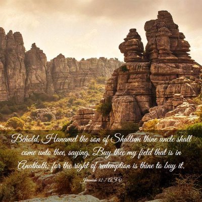 Picture 03 - Jeremiah 32:7 ASV - Behold, Hanamel the son of Shallum thine uncle - Bible Verse Picture
