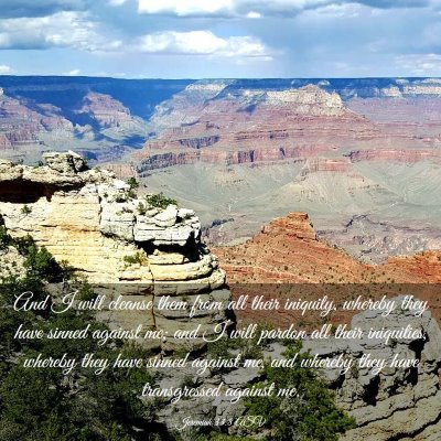 Picture 03 - Jeremiah 33:8 ASV - And I will cleanse them from all their iniquity, - Bible Verse Picture