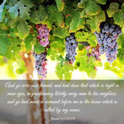 Picture 03 - Jeremiah 34:15 ASV - And ye were now turned, and had done that which - Bible Verse Picture