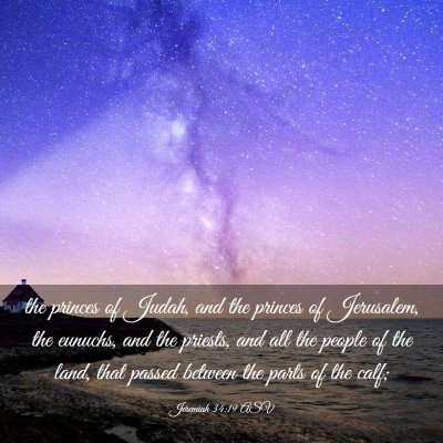 Picture 03 - Jeremiah 34:19 ASV - the princes of Judah, and the princes of - Bible Verse Picture