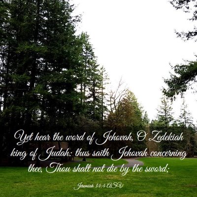 Picture 03 - Jeremiah 34:4 ASV - Yet hear the word of Jehovah, O Zedekiah king of - Bible Verse Picture