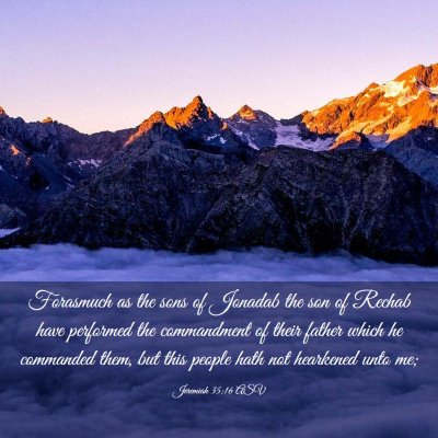 Picture 03 - Jeremiah 35:16 ASV - Forasmuch as the sons of Jonadab the son of - Bible Verse Picture