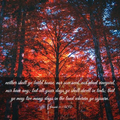 Picture 03 - Jeremiah 35:7 ASV - neither shall ye build house, nor sow seed, nor - Bible Verse Picture