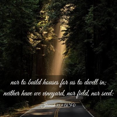 Picture 03 - Jeremiah 35:9 ASV - nor to build houses for us to dwell in; neither - Bible Verse Picture