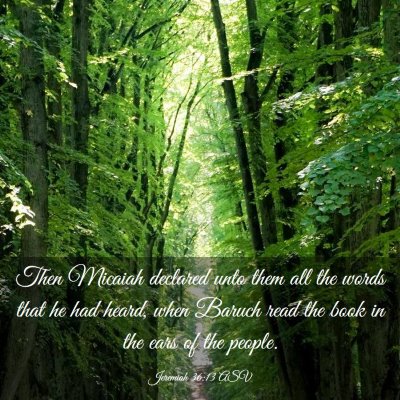 Picture 03 - Jeremiah 36:13 ASV - Then Micaiah declared unto them all the words - Bible Verse Picture