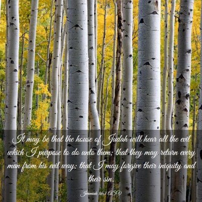 Picture 03 - Jeremiah 36:3 ASV - It may be that the house of Judah will hear all - Bible Verse Picture