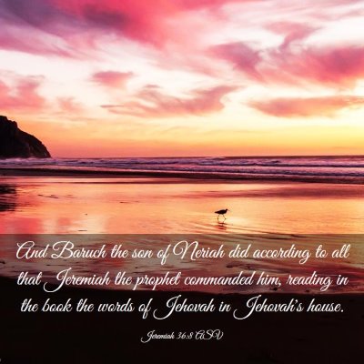 Picture 03 - Jeremiah 36:8 ASV - And Baruch the son of Neriah did according to all - Bible Verse Picture