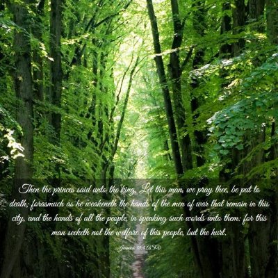 Picture 03 - Jeremiah 38:4 ASV - Then the princes said unto the king, Let this - Bible Verse Picture