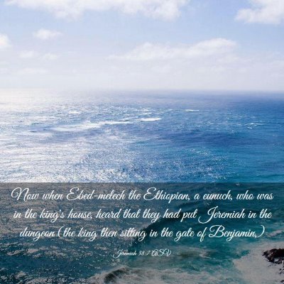 Picture 03 - Jeremiah 38:7 ASV - Now when Ebed-melech the Ethiopian, a eunuch, who - Bible Verse Picture
