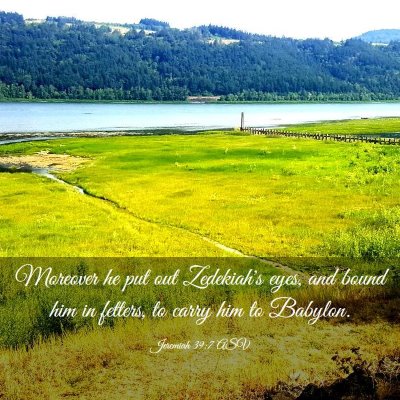 Picture 03 - Jeremiah 39:7 ASV - Moreover he put out Zedekiah's eyes, and bound - Bible Verse Picture