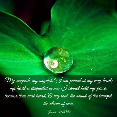 Picture 03 - Jeremiah 4:19 ASV - My anguish, my anguish! I am pained at my very - Bible Verse Picture
