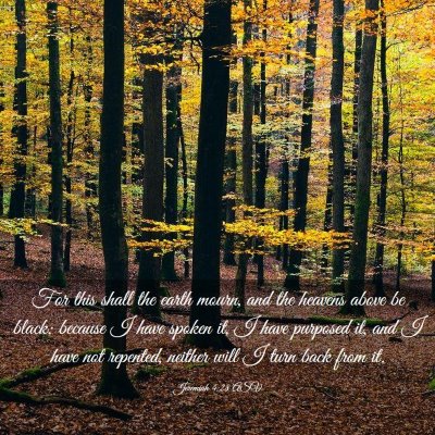 Picture 03 - Jeremiah 4:28 ASV - For this shall the earth mourn, and the heavens - Bible Verse Picture