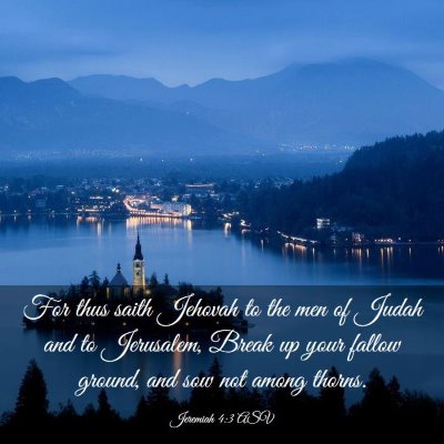 Picture 03 - Jeremiah 4:3 ASV - For thus saith Jehovah to the men of Judah and to - Bible Verse Picture