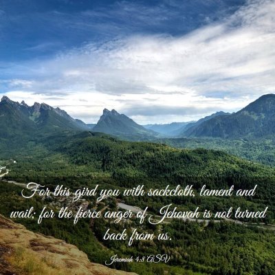 Picture 03 - Jeremiah 4:8 ASV - For this gird you with sackcloth, lament and - Bible Verse Picture