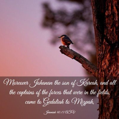Picture 03 - Jeremiah 40:13 ASV - Moreover Johanan the son of Kareah, and all the - Bible Verse Picture