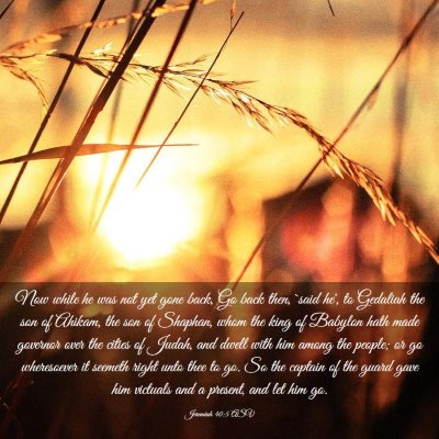 Picture 03 - Jeremiah 40:5 ASV - Now while he was not yet gone back, Go back then, - Bible Verse Picture