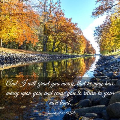 Picture 03 - Jeremiah 42:12 ASV - And I will grant you mercy, that he may have - Bible Verse Picture