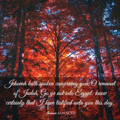 Picture 03 - Jeremiah 42:19 ASV - Jehovah hath spoken concerning you, O remnant of - Bible Verse Picture