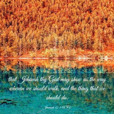 Picture 03 - Jeremiah 42:3 ASV - that Jehovah thy God may show us the way wherein - Bible Verse Picture