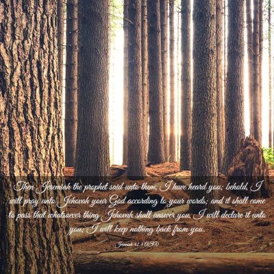 Picture 03 - Jeremiah 42:4 ASV - Then Jeremiah the prophet said unto them, I have - Bible Verse Picture