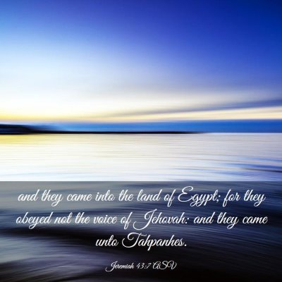 Picture 03 - Jeremiah 43:7 ASV - and they came into the land of Egypt; for they - Bible Verse Picture