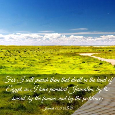 Picture 03 - Jeremiah 44:13 ASV - For I will punish them that dwell in the land of - Bible Verse Picture