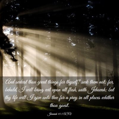 Picture 03 - Jeremiah 45:5 ASV - And seekest thou great things for thyself? seek - Bible Verse Picture