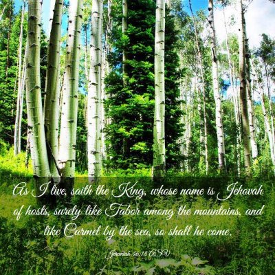 Picture 03 - Jeremiah 46:18 ASV - As I live, saith the King, whose name is Jehovah - Bible Verse Picture