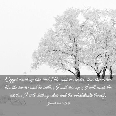 Picture 03 - Jeremiah 46:8 ASV - Egypt riseth up like the Nile, and his waters - Bible Verse Picture