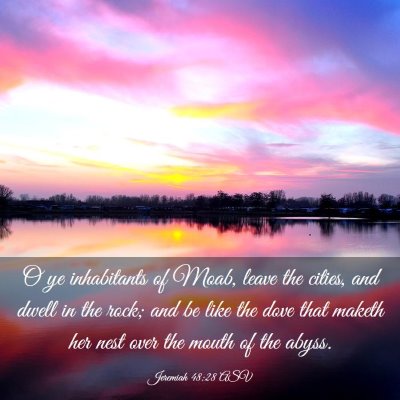 Picture 03 - Jeremiah 48:28 ASV - O ye inhabitants of Moab, leave the cities, and - Bible Verse Picture