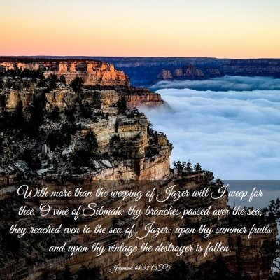 Picture 03 - Jeremiah 48:32 ASV - With more than the weeping of Jazer will I weep - Bible Verse Picture