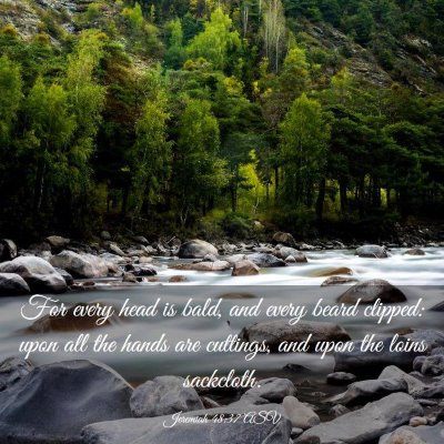 Picture 03 - Jeremiah 48:37 ASV - For every head is bald, and every beard clipped: - Bible Verse Picture