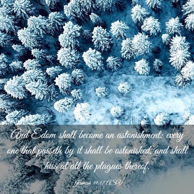 Picture 03 - Jeremiah 49:17 ASV - And Edom shall become an astonishment: every one - Bible Verse Picture