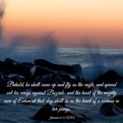 Picture 03 - Jeremiah 49:22 ASV - Behold, he shall come up and fly as the eagle, - Bible Verse Picture