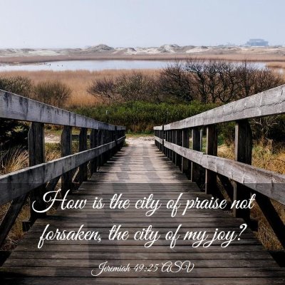 Picture 03 - Jeremiah 49:25 ASV - How is the city of praise not forsaken, the city - Bible Verse Picture