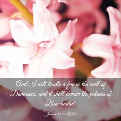 Picture 03 - Jeremiah 49:27 ASV - And I will kindle a fire in the wall of Damascus, - Bible Verse Picture