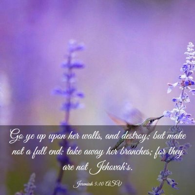 Picture 03 - Jeremiah 5:10 ASV - Go ye up upon her walls, and destroy; but make - Bible Verse Picture
