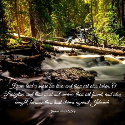 Picture 03 - Jeremiah 50:24 ASV - I have laid a snare for thee, and thou art also - Bible Verse Picture
