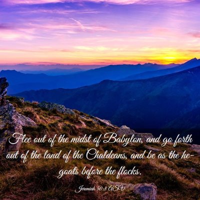 Picture 03 - Jeremiah 50:8 ASV - Flee out of the midst of Babylon, and go forth - Bible Verse Picture