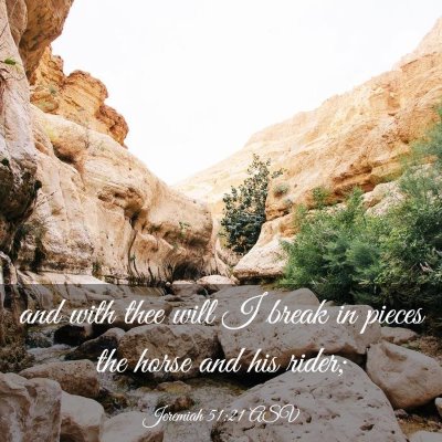 Picture 03 - Jeremiah 51:21 ASV - and with thee will I break in pieces the horse - Bible Verse Picture