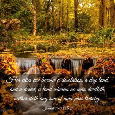 Picture 03 - Jeremiah 51:43 ASV - Her cities are become a desolation, a dry land, - Bible Verse Picture