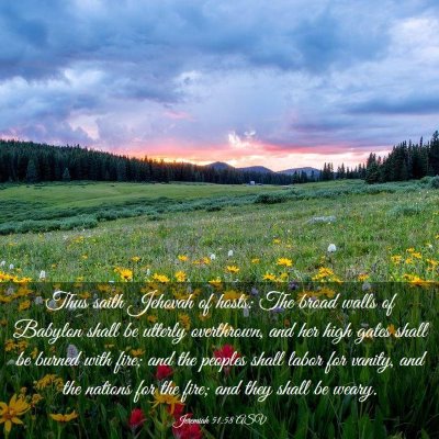 Picture 03 - Jeremiah 51:58 ASV - Thus saith Jehovah of hosts: The broad walls of - Bible Verse Picture