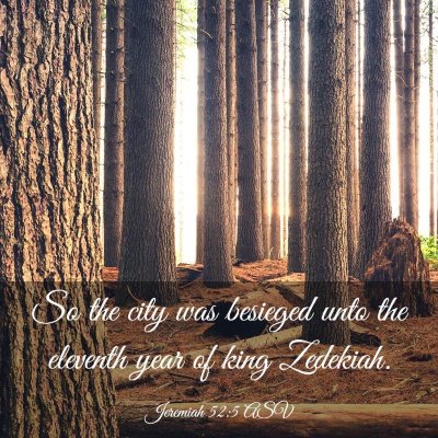 Picture 03 - Jeremiah 52:5 ASV - So the city was besieged unto the eleventh year - Bible Verse Picture