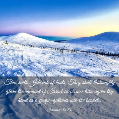Picture 03 - Jeremiah 6:9 ASV - Thus saith Jehovah of hosts, They shall - Bible Verse Picture
