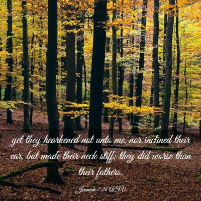 Picture 03 - Jeremiah 7:26 ASV - yet they hearkened not unto me, nor inclined - Bible Verse Picture