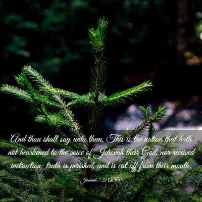 Picture 03 - Jeremiah 7:28 ASV - And thou shalt say unto them, This is the nation - Bible Verse Picture